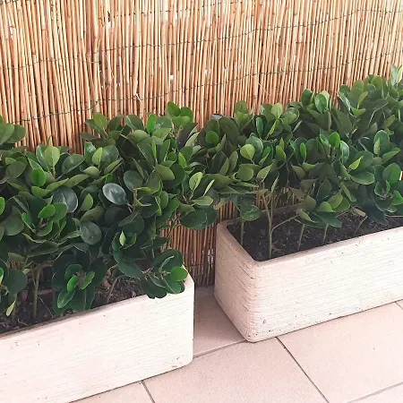 Semesterbostad Dimora Montalto,indipendente Con Terrazzo Privato